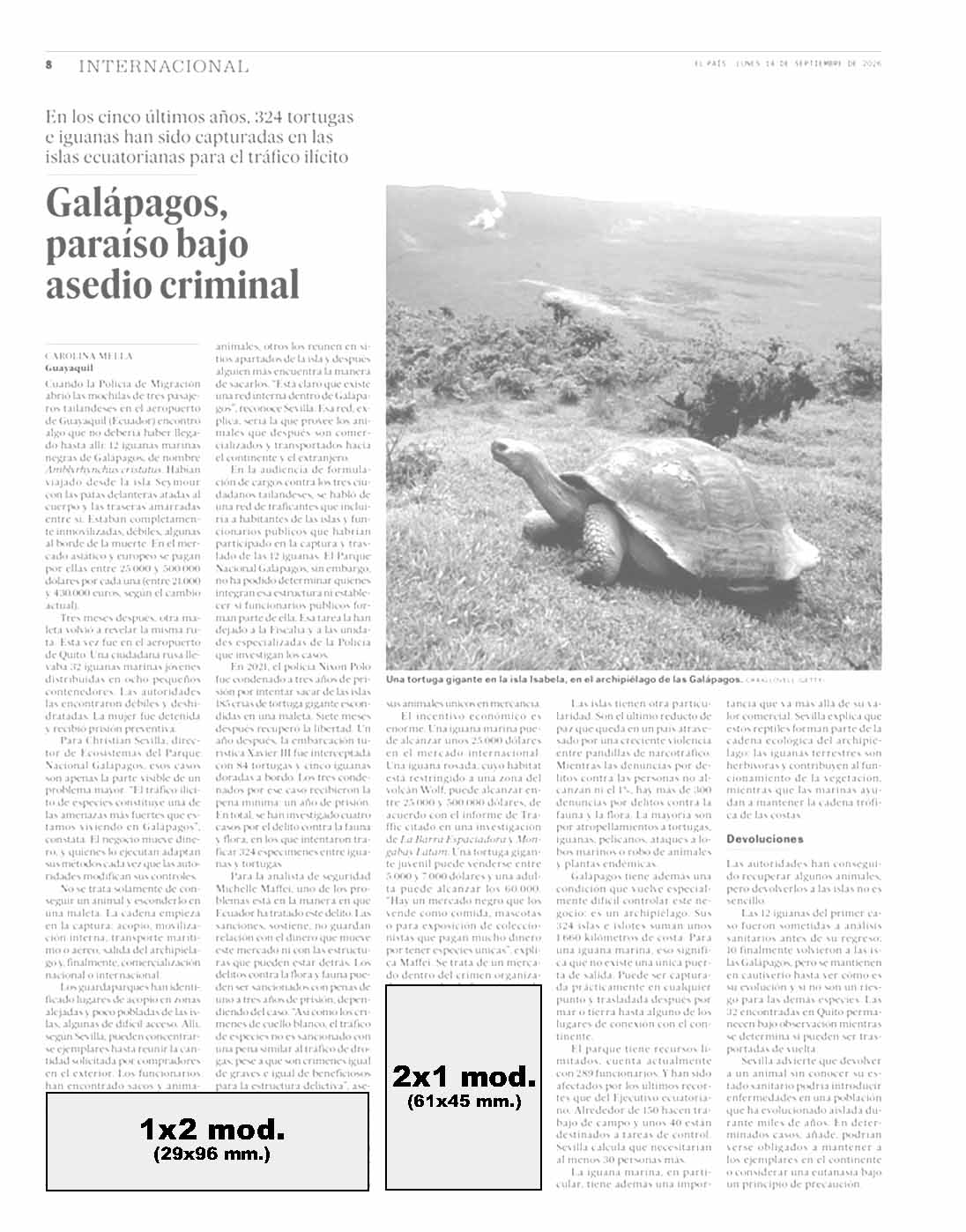 El País modelo 1