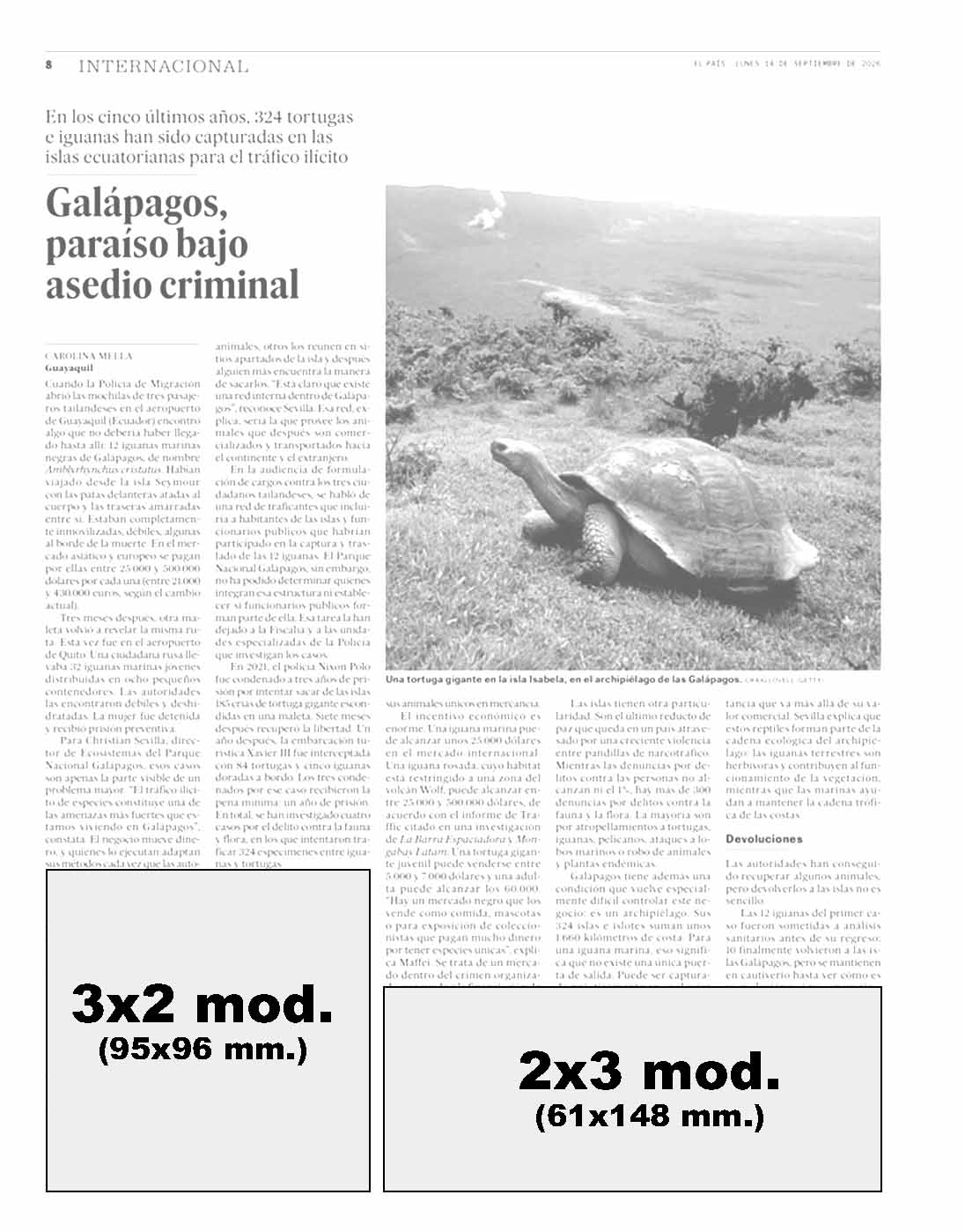 El País modelo 3