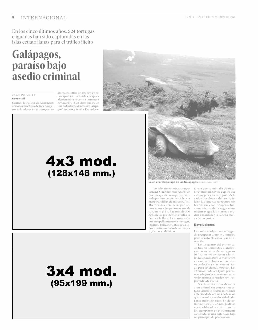 El País modelo 5