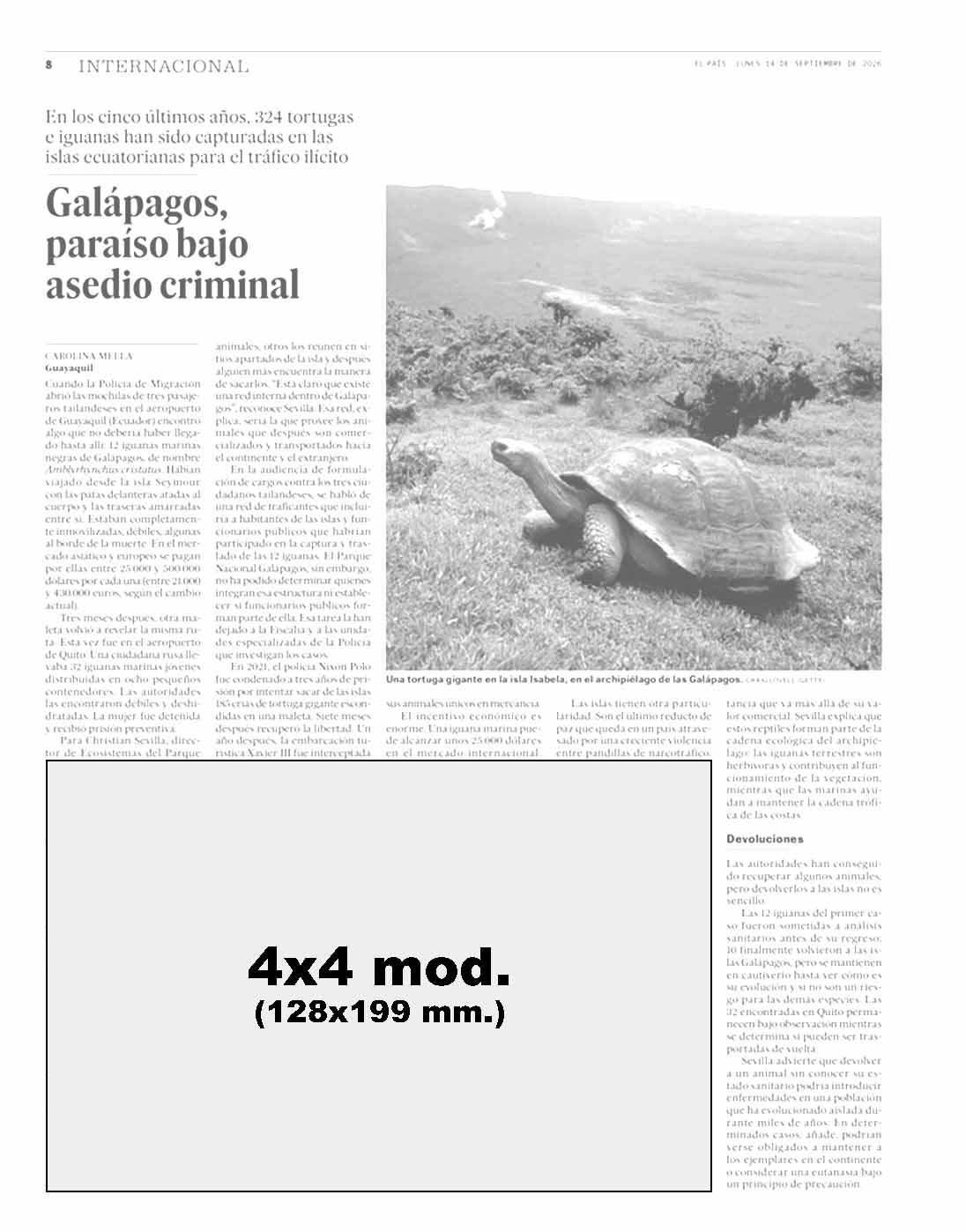 El País modelo 6