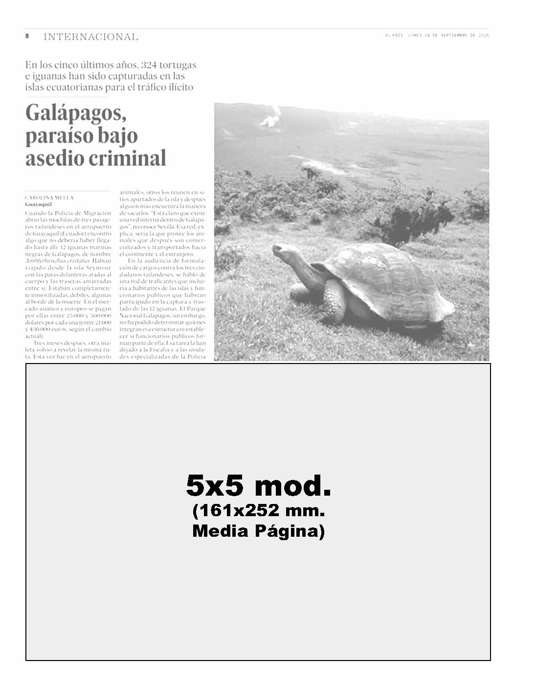 El País modelo 8
